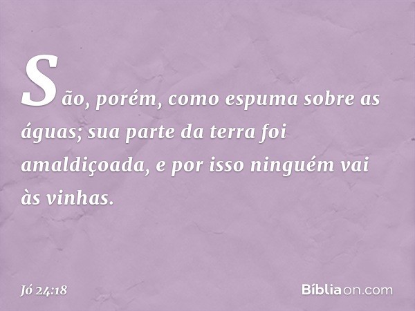 "São, porém, como espuma
sobre as águas;
sua parte da terra foi amaldiçoada,
e por isso ninguém vai às vinhas. -- Jó 24:18