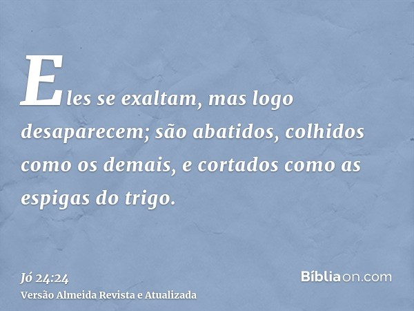 Eles se exaltam, mas logo desaparecem; são abatidos, colhidos como os demais, e cortados como as espigas do trigo.