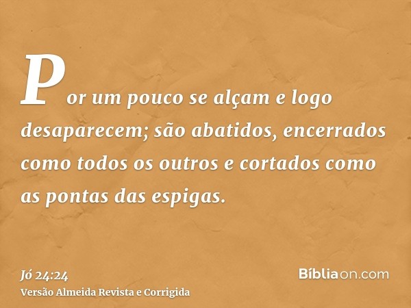 Por um pouco se alçam e logo desaparecem; são abatidos, encerrados como todos os outros e cortados como as pontas das espigas.