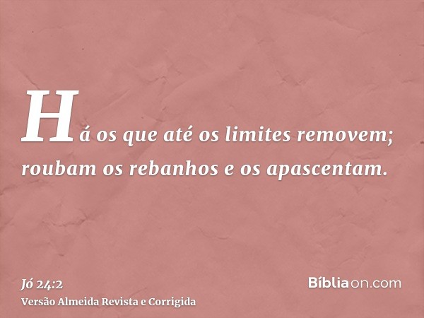 Há os que até os limites removem; roubam os rebanhos e os apascentam.