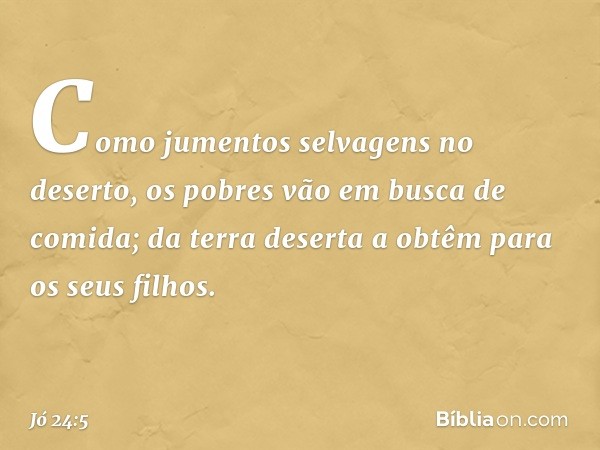 Como jumentos selvagens no deserto,
os pobres vão em busca de comida;
da terra deserta a obtêm
para os seus filhos. -- Jó 24:5