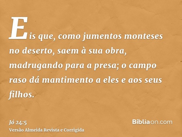 Eis que, como jumentos monteses no deserto, saem à sua obra, madrugando para a presa; o campo raso dá mantimento a eles e aos seus filhos.