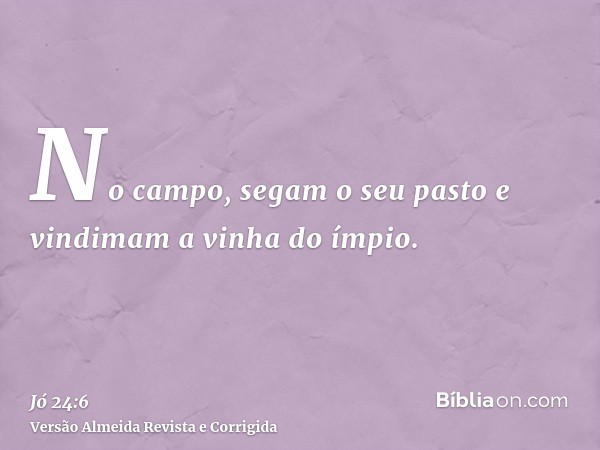 No campo, segam o seu pasto e vindimam a vinha do ímpio.
