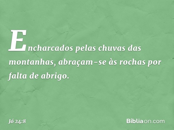 Encharcados pelas chuvas
das montanhas,
abraçam-se às rochas
por falta de abrigo. -- Jó 24:8