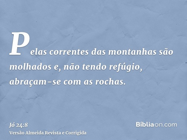 Pelas correntes das montanhas são molhados e, não tendo refúgio, abraçam-se com as rochas.