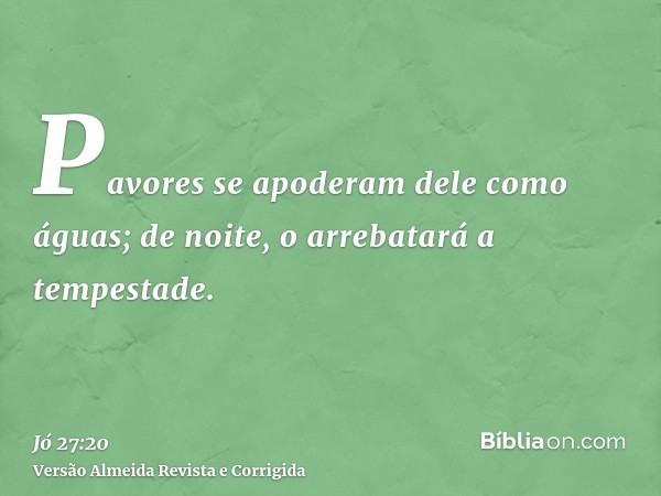 Pavores se apoderam dele como águas; de noite, o arrebatará a tempestade.