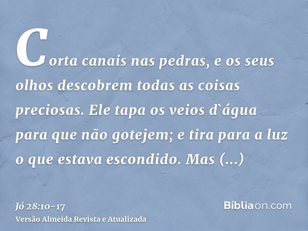 Corta canais nas pedras, e os seus olhos descobrem todas as coisas preciosas.Ele tapa os veios d`água para que não gotejem; e tira para a luz o que estava escon