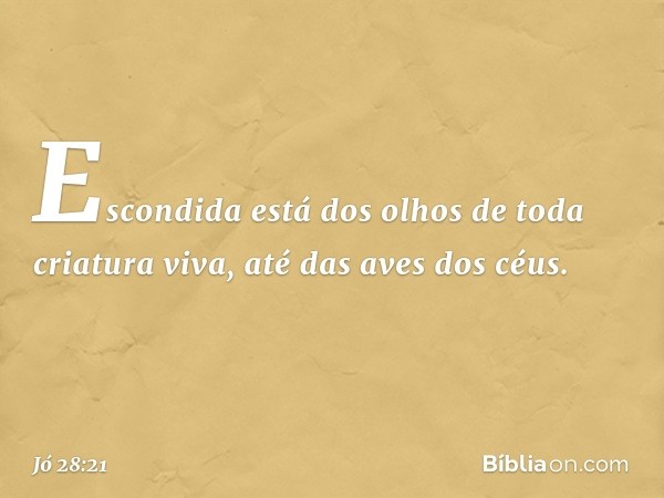 Escondida está dos olhos
de toda criatura viva,
até das aves dos céus. -- Jó 28:21