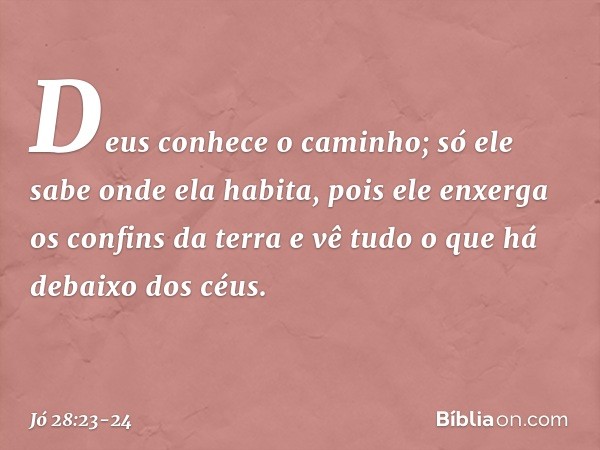 Deus conhece o caminho;
só ele sabe onde ela habita, pois ele enxerga os confins da terra
e vê tudo o que há debaixo dos céus. -- Jó 28:23-24