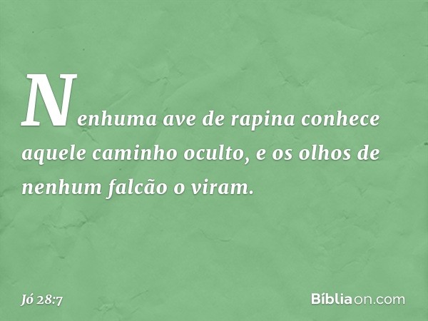 Nenhuma ave de rapina conhece
aquele caminho oculto,
e os olhos de nenhum falcão o viram. -- Jó 28:7