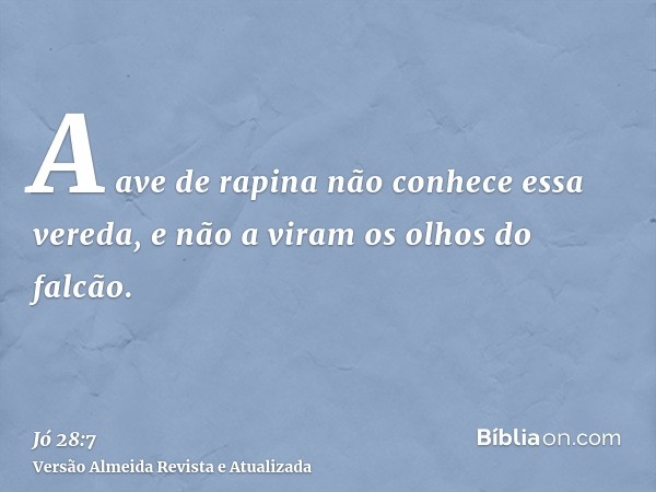 A ave de rapina não conhece essa vereda, e não a viram os olhos do falcão.