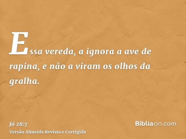 Essa vereda, a ignora a ave de rapina, e não a viram os olhos da gralha.