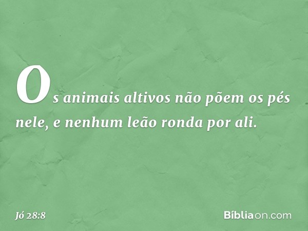 Os animais altivos
não põem os pés nele,
e nenhum leão ronda por ali. -- Jó 28:8