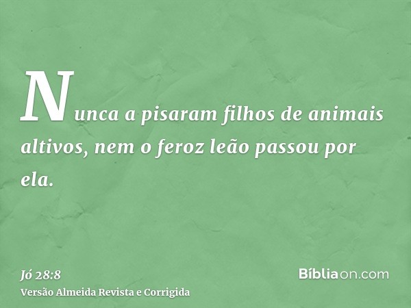 Nunca a pisaram filhos de animais altivos, nem o feroz leão passou por ela.