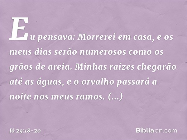 "Eu pensava: Morrerei em casa,
e os meus dias serão numerosos
como os grãos de areia. Minhas raízes chegarão até as águas,
e o orvalho passará a noite
nos meus 