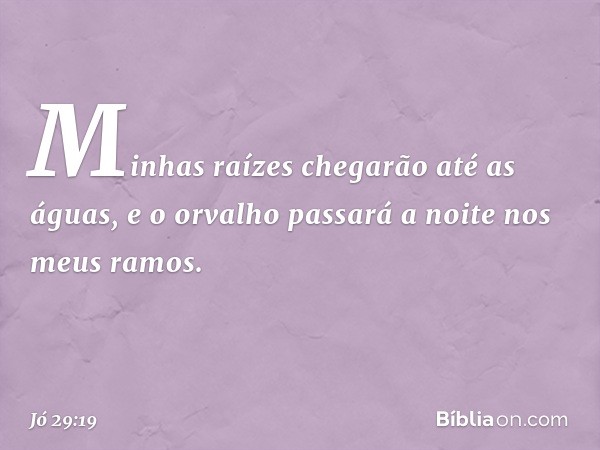 Minhas raízes chegarão até as águas,
e o orvalho passará a noite
nos meus ramos. -- Jó 29:19