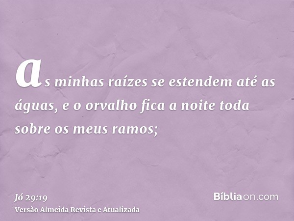 as minhas raízes se estendem até as águas, e o orvalho fica a noite toda sobre os meus ramos;