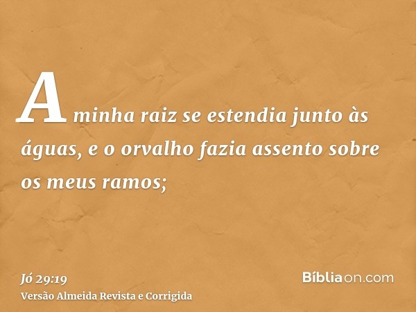 A minha raiz se estendia junto às águas, e o orvalho fazia assento sobre os meus ramos;