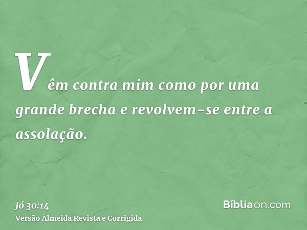 Vêm contra mim como por uma grande brecha e revolvem-se entre a assolação.