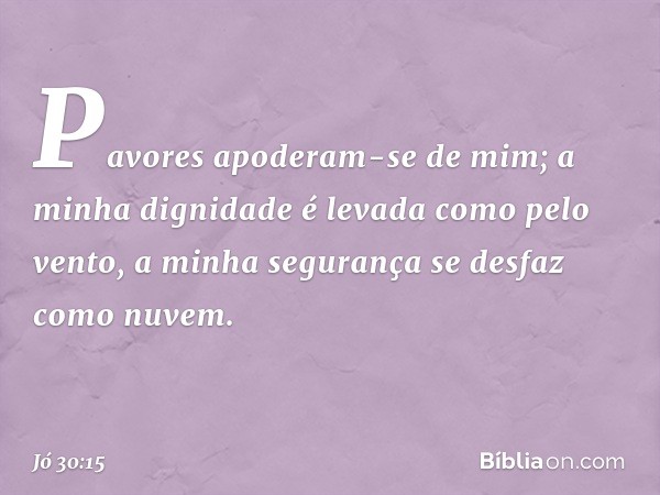 Pavores apoderam-se de mim;
a minha dignidade é levada
como pelo vento,
a minha segurança
se desfaz como nuvem. -- Jó 30:15