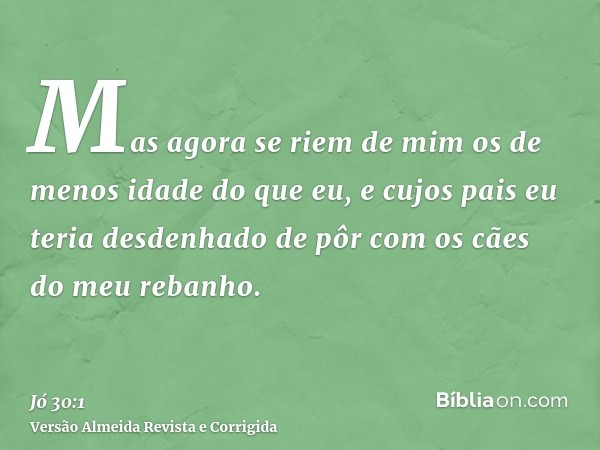 Mas agora se riem de mim os de menos idade do que eu, e cujos pais eu teria desdenhado de pôr com os cães do meu rebanho.
