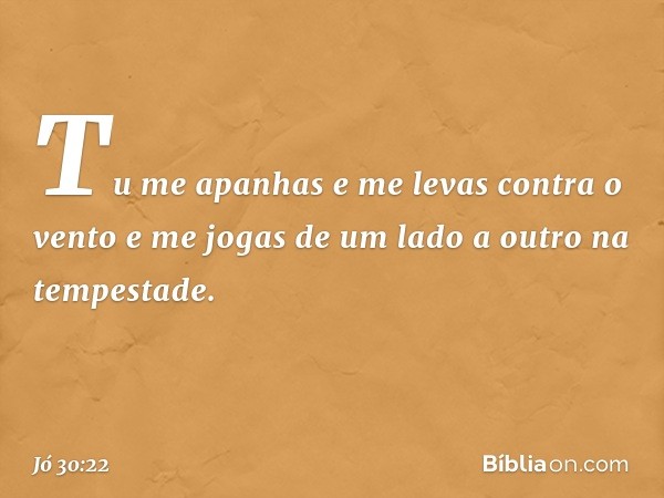 Tu me apanhas
e me levas contra o vento
e me jogas de um lado a outro
na tempestade. -- Jó 30:22