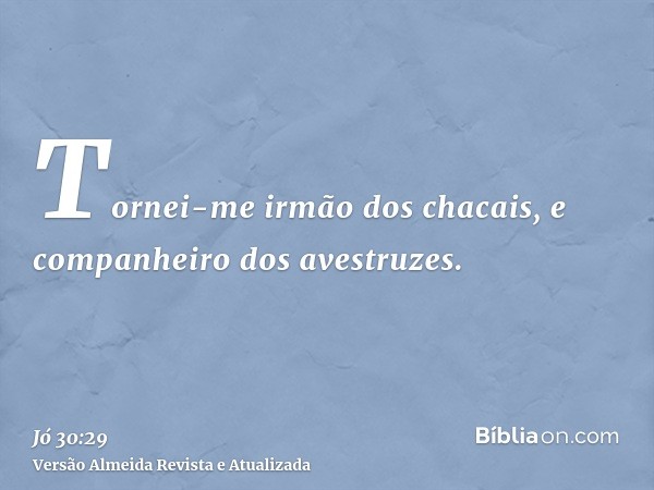 Tornei-me irmão dos chacais, e companheiro dos avestruzes.