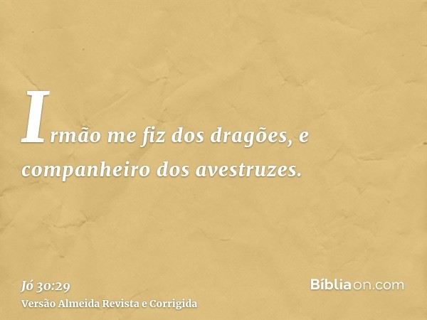 Irmão me fiz dos dragões, e companheiro dos avestruzes.