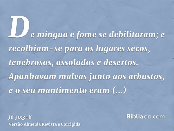 De míngua e fome se debilitaram; e recolhiam-se para os lugares secos, tenebrosos, assolados e desertos.Apanhavam malvas junto aos arbustos, e o seu mantimento 