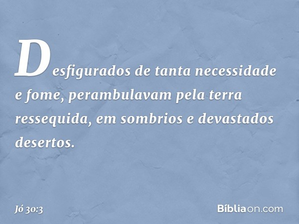 Desfigurados
de tanta necessidade e fome,
perambulavam pela terra ressequida,
em sombrios e devastados desertos. -- Jó 30:3