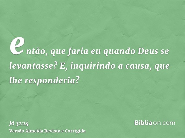 então, que faria eu quando Deus se levantasse? E, inquirindo a causa, que lhe responderia?