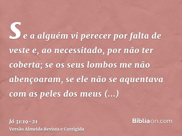 se a alguém vi perecer por falta de veste e, ao necessitado, por não ter coberta;se os seus lombos me não abençoaram, se ele não se aquentava com as peles dos m