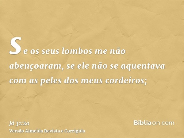 se os seus lombos me não abençoaram, se ele não se aquentava com as peles dos meus cordeiros;