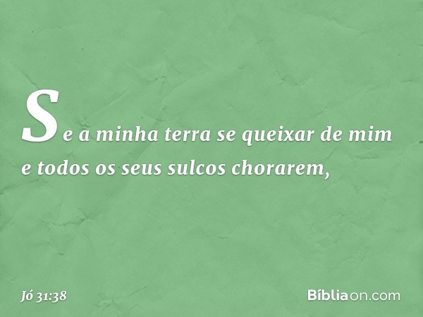 "Se a minha terra se queixar de mim
e todos os seus sulcos chorarem, -- Jó 31:38