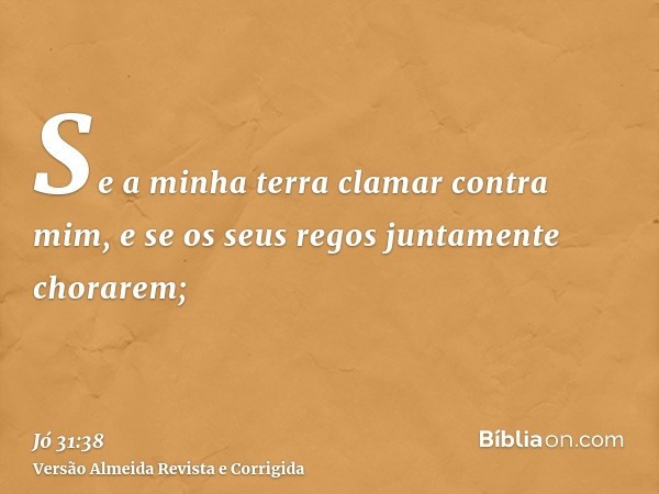 Se a minha terra clamar contra mim, e se os seus regos juntamente chorarem;