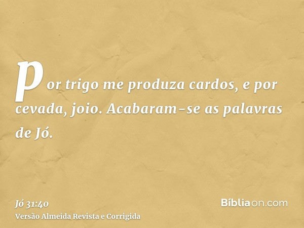 por trigo me produza cardos, e por cevada, joio. Acabaram-se as palavras de Jó.