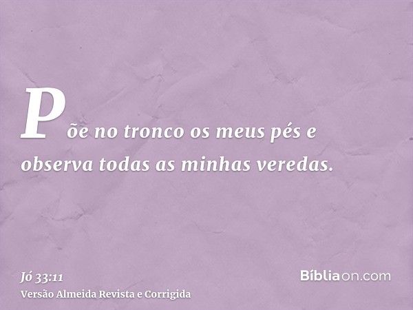 Põe no tronco os meus pés e observa todas as minhas veredas.