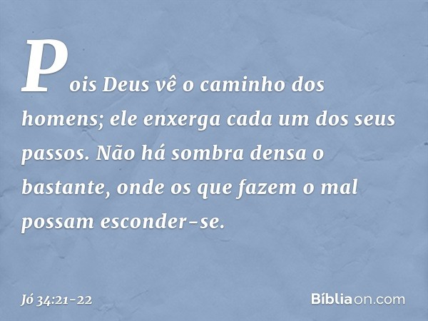 "Pois Deus vê o caminho
dos homens;
ele enxerga cada um dos seus passos. Não há sombra densa o bastante,
onde os que fazem o mal
possam esconder-se. -- Jó 34:21