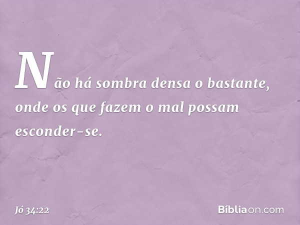 Não há sombra densa o bastante,
onde os que fazem o mal
possam esconder-se. -- Jó 34:22