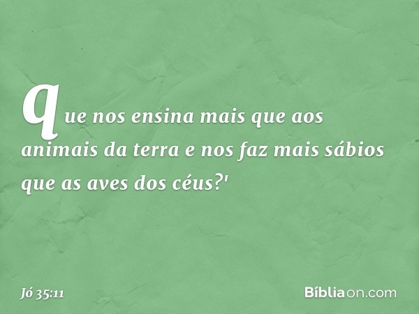 que nos ensina mais
que aos animais da terra
e nos faz mais sábios
que as aves dos céus?' -- Jó 35:11