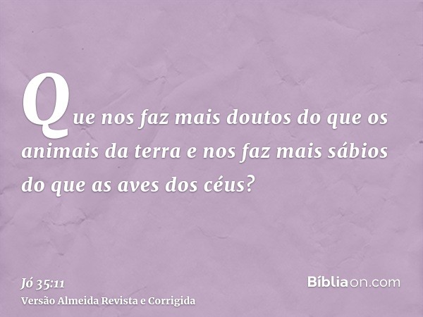 Que nos faz mais doutos do que os animais da terra e nos faz mais sábios do que as aves dos céus?