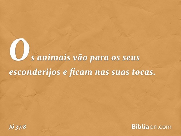 Os animais vão
para os seus esconderijos
e ficam nas suas tocas. -- Jó 37:8