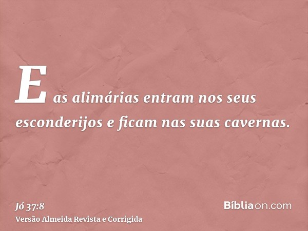 E as alimárias entram nos seus esconderijos e ficam nas suas cavernas.