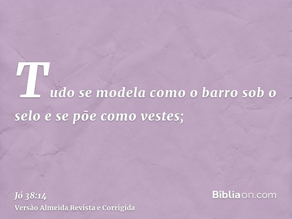 Tudo se modela como o barro sob o selo e se põe como vestes;