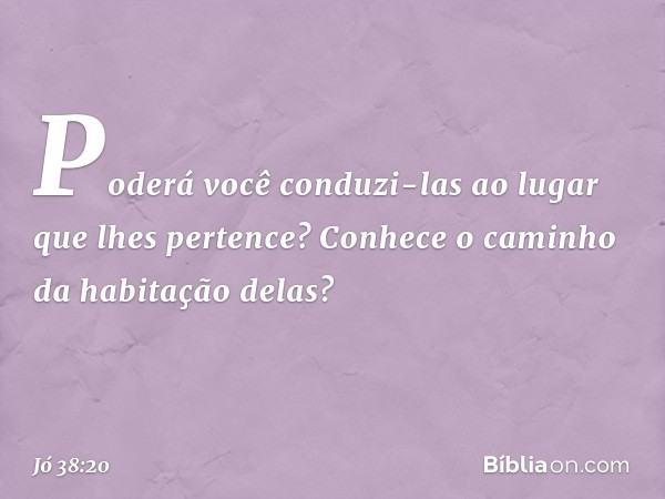 Poderá você conduzi-las
ao lugar que lhes pertence?
Conhece o caminho
da habitação delas? -- Jó 38:20