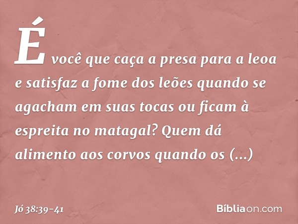 "É você que caça a presa para a leoa
e satisfaz a fome dos leões quando se agacham em suas tocas
ou ficam à espreita no matagal? Quem dá alimento aos corvos
qua