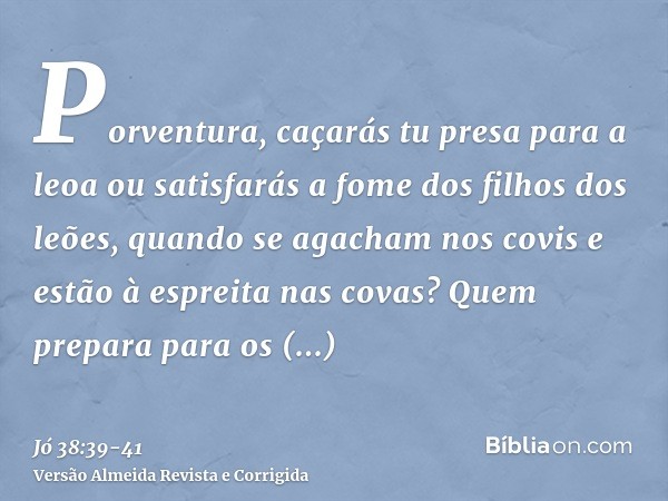 Porventura, caçarás tu presa para a leoa ou satisfarás a fome dos filhos dos leões,quando se agacham nos covis e estão à espreita nas covas?Quem prepara para os