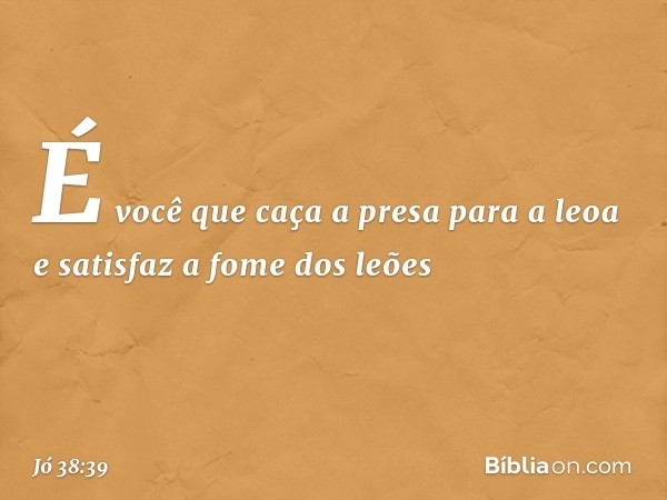 "É você que caça a presa para a leoa
e satisfaz a fome dos leões -- Jó 38:39