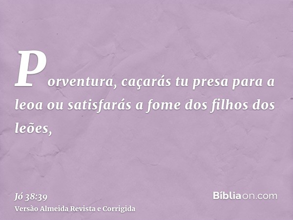 Porventura, caçarás tu presa para a leoa ou satisfarás a fome dos filhos dos leões,