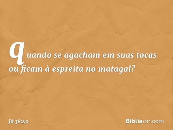 quando se agacham em suas tocas
ou ficam à espreita no matagal? -- Jó 38:40